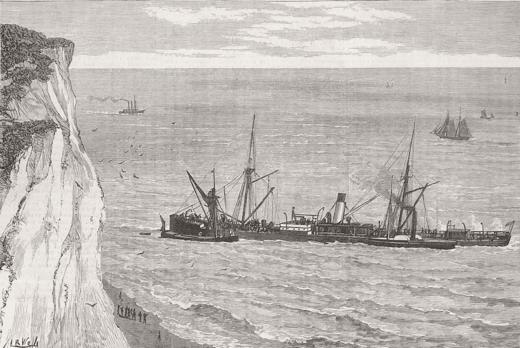 SOUTH FORELAND. Flamingo ashore, St Margaret's Bay 1881 old antique print